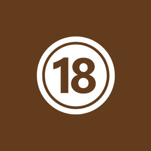 المدير المالي الناجح